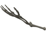 Hand 3D Model