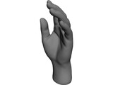 Hand 3D Model preview