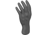 Hand 3D Model