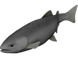 Happy Fish 3D Model preview