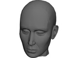 Head Female 3D Model preview