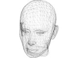 Head Female 3D Model