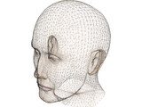 Head Male 3D Model