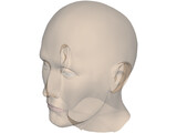 Head Male 3D Model