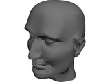 Head Male 3D Model preview