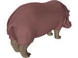 Hippopotamus 3D Model