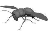 Hornet 3D Model preview