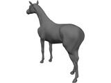 Horse 3D Model