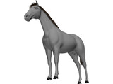 Horse 3D Model