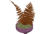 House Plant 3D Model