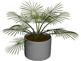 House Plant 3D Model preview