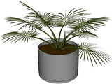House Plant 3D Model