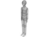 Human 3D Model