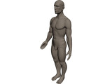 Human 3D Model preview