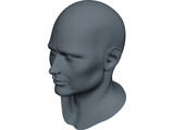 Human Face 3D Model preview