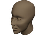 Human Head 3D Model preview