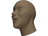 Human Head 3D Model