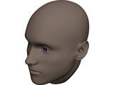 Human Head 3D Model preview