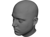 Human Male Scanned Head 3D Model preview
