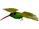 Hummingbird 3D Model preview