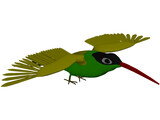 Hummingbird 3D Model