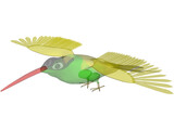 Hummingbird 3D Model