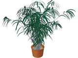 Indoor Plant 3D Model