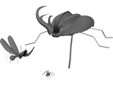 Insects 3D Model preview