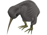 Kiwi Bird 3D Model preview