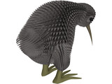 Kiwi Bird 3D Model