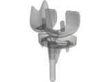 Knee 3D Model