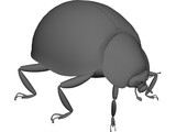 Ladybug 3D Model preview