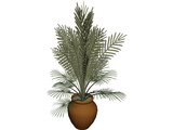 Large Potted House Plant 3D Model preview