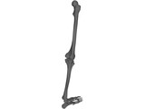 Leg Bone Female Right 3D Model