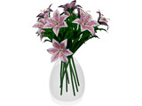 Lily Pink 3D Model preview