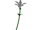 Lily 3D Model