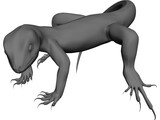 Lizard 3D Model preview