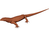 Lizard 3D Model preview