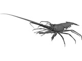 Lobster 3D Model preview