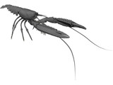 Lobster (Nephrops Norvegicus) 3D Model