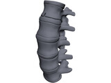 Lumbar Spine 3D Model preview
