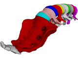 Lumbar Vertebrae Sacrum And Coccyx 3D Model preview