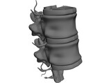 Lumbar Vertebrae 3D Model preview