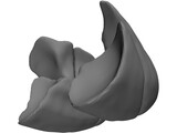 Lungs Human 3D Model