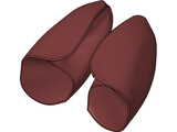 Lungs 3D Model