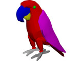 Macaw Hyacinth 3D Model preview