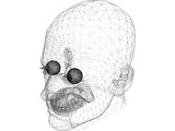 Male Adult Head 3D Model