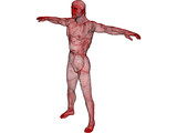 Man 3D Model