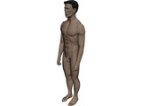 Man 3D Model preview
