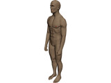 Man 3D Model preview